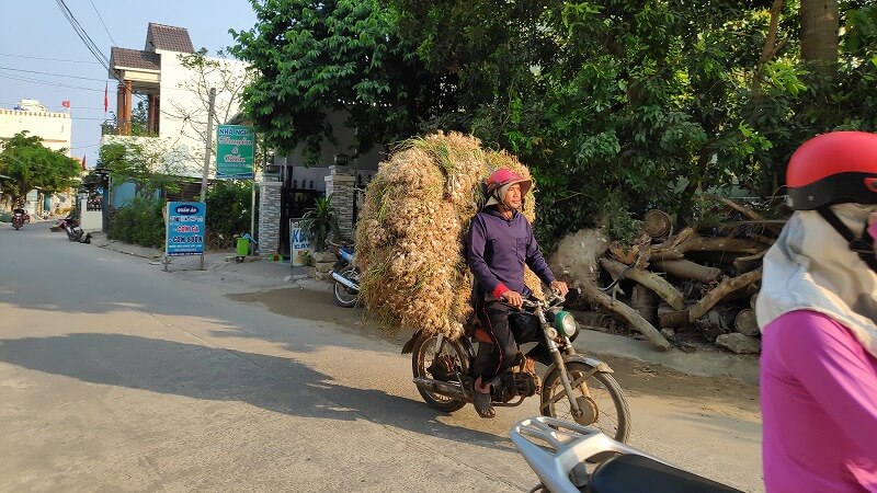 にんにくを運ぶおじさん
